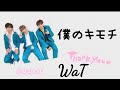 僕のキモチ/WaT