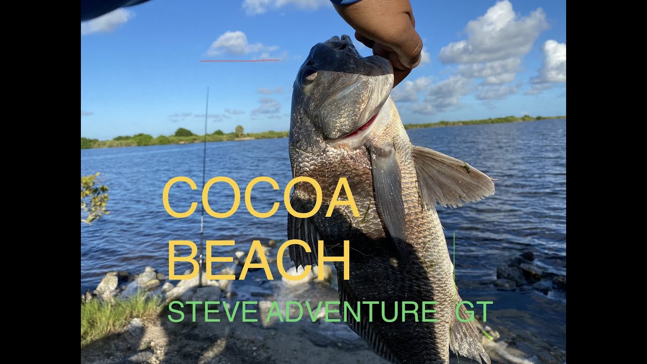 I CAN,T STAY HOME COCOA BEACH FLORIDA WITH LIVE BAIT FISHING DAY YouTube