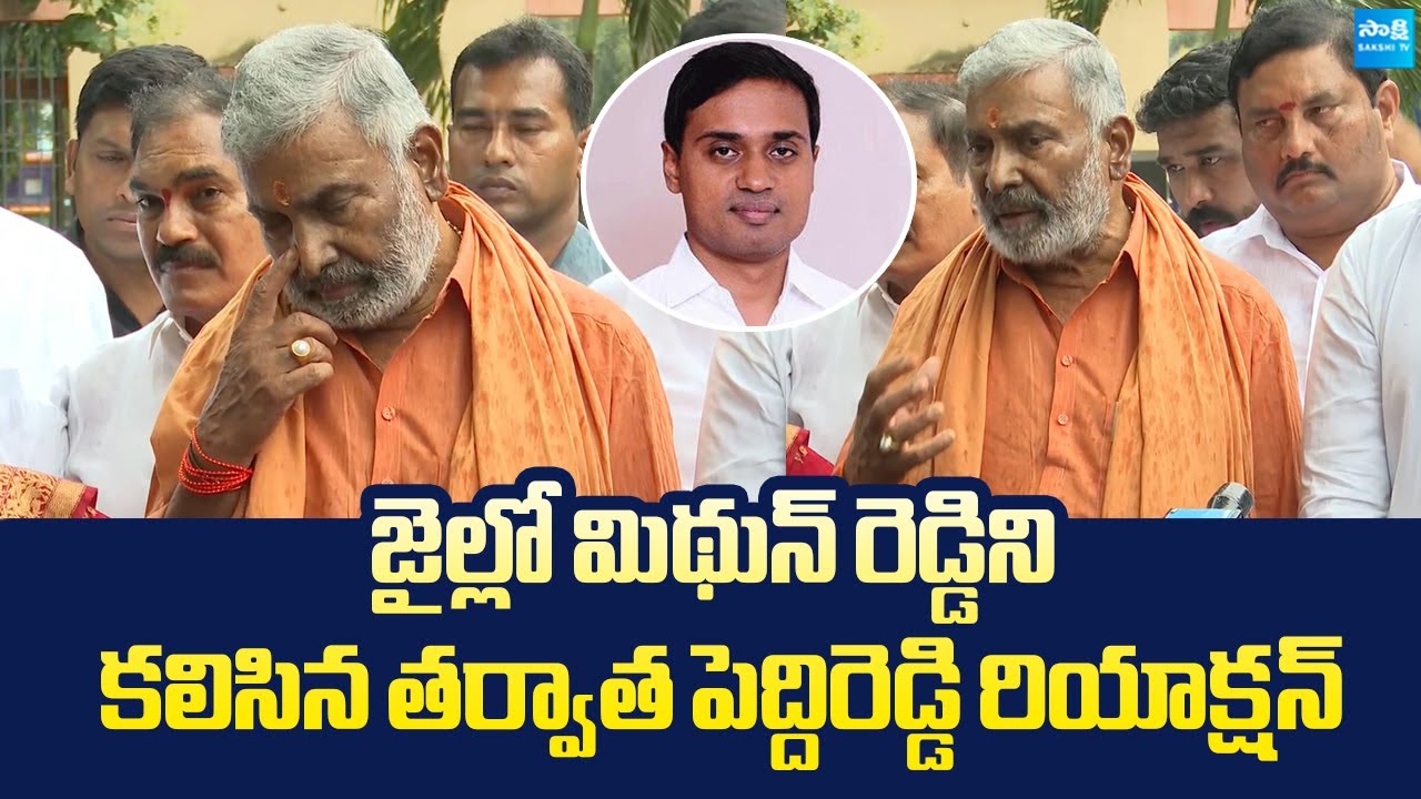 Peddireddy Ramachandra Reddy Reaction After Meet Mithun Reddy In ...