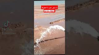 تركيب وتصميم وتوريد شبكات الري المطور 01141183744