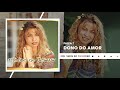 Dono do Amor - Elaine de Jesus (Áudio Oficial)