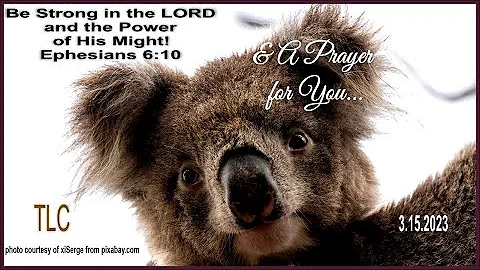 TLC | THIS PRAYER IS FOR YOU | 3 15 2023