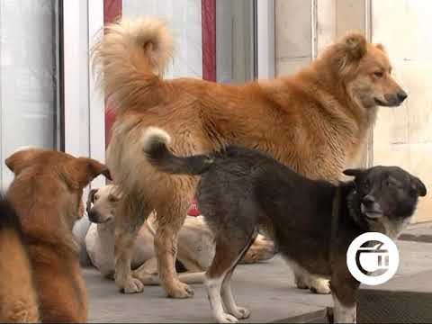 ინფექციური დაავადებები, რომლებიც  ზაფხულში აქტიურდება - რა პრობლემები ახლავს ცხელ სეზონს