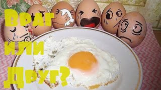 Повышают ли яйца уровень холестерина. куриные яйца польза