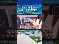 【フォトナ】これがマイキー君が言ってたやつか【デスラン】