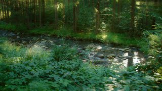 JOLAR – Gentle Ripples | Relaxing Piano Music for Sleep, Study, Calm