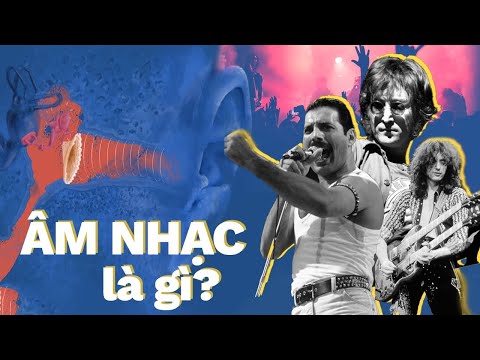 Video Nguồn gốc và sự phát triển của âm nhạc? | Vỡ Lòng Âm... - youtube