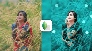 Snapseed Green And Bird Effect Photo Editing Tutorial | Snapseed Background Colour Change Tricks