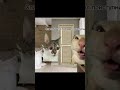 Остался один дома и испугался