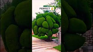 The Most Satisfying Video You'll See Today #7 #asmr