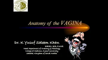 Anatomy of the VAGINA || Dr. Yusuf ||