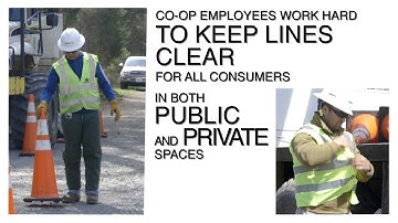 Clearing the Line: Vegetation Management Ensures Reliable Power