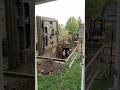 They Built a Secret Room Underground… No One Noticed