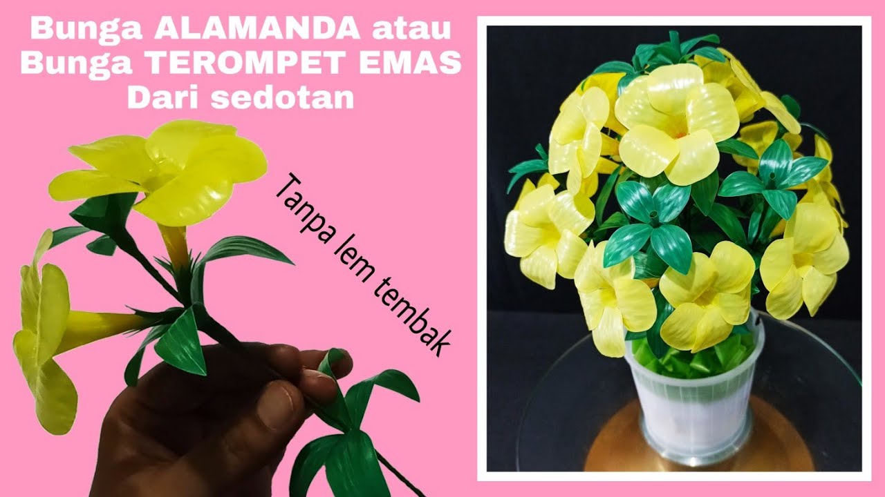  Bunga  ALAMANDA dari  sedotan  plastik  Kerajinan  dari  