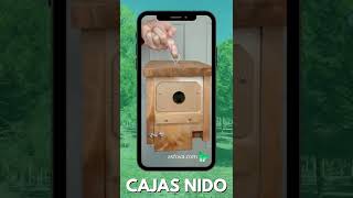 Cajas Nido - Contra la Procesionaria