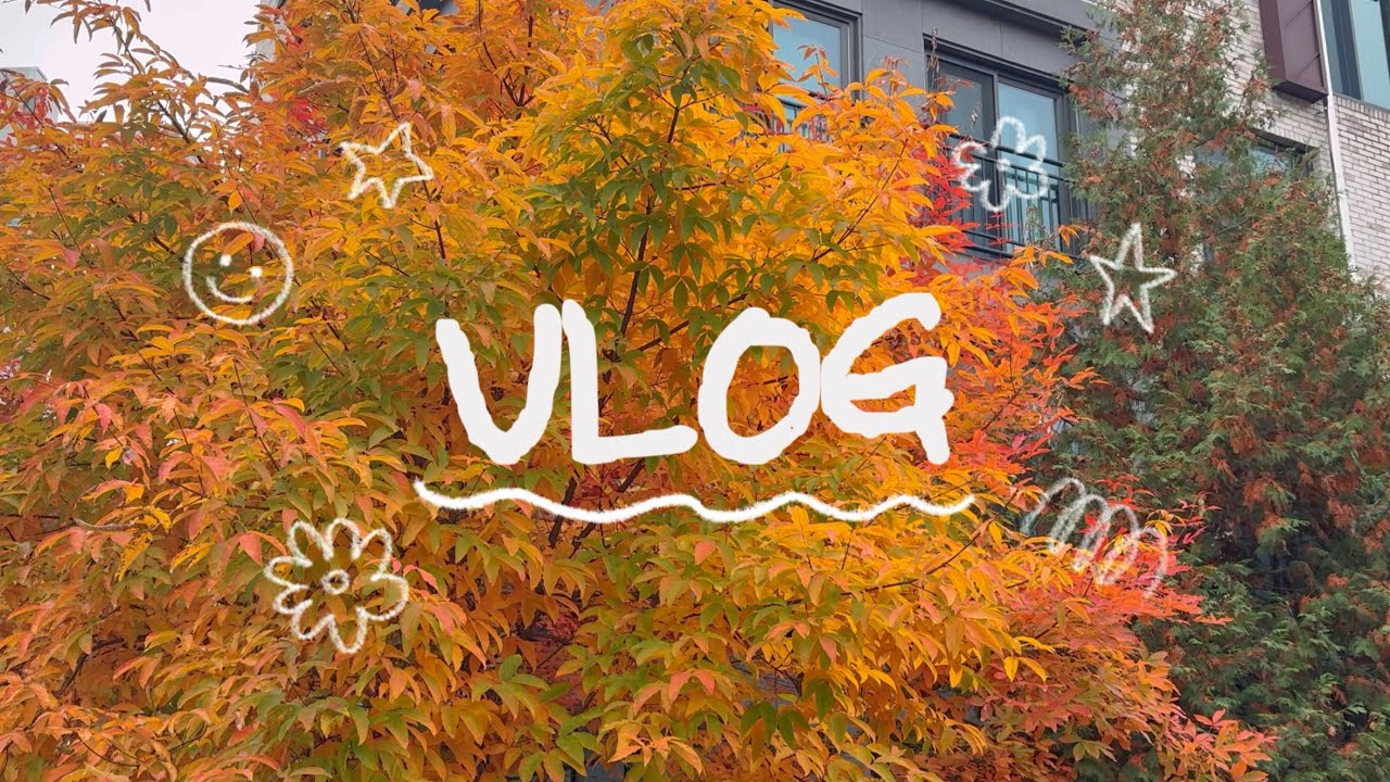 [VLOG] 일상 브이로그 | 가을날씨🍂🍁 | 주말 데이트 | 독감주사 | 가을제철 생새우🍤 | 빼빼로 만들기 | 쪽갈비와 비빔냉면 | 콩콩밥밥🫘 | 조카돌잔치👶🏻💖