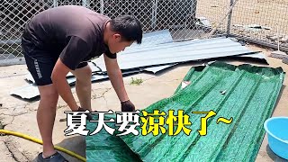 As the weather gradually turned hot  Xiaoding removed the iron sheet of the small yard to let the s