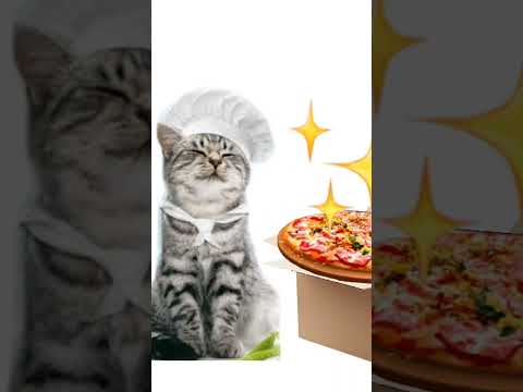 Pizzeria del gatito
