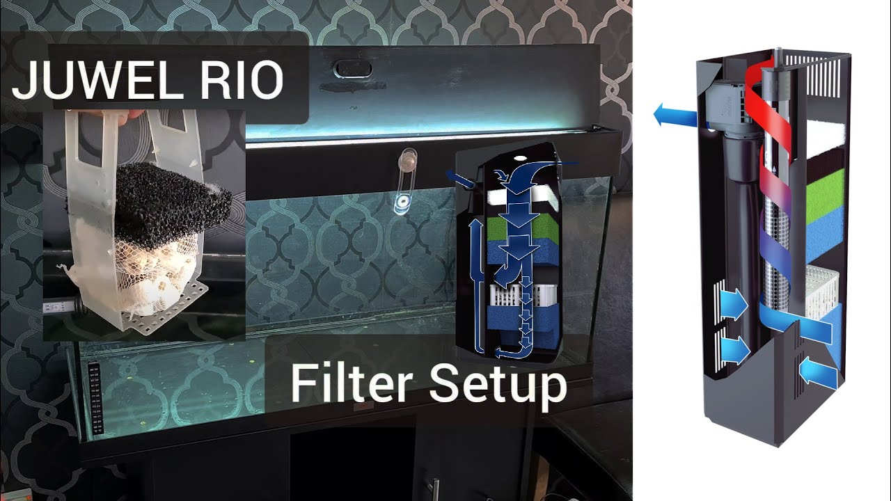 Best JUWEL Bioflow Filter Setup Biomedia Fish Tank - YouTube