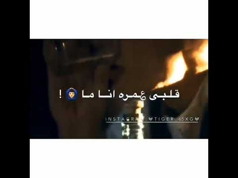 طب وانبى حد يفهم ان انا قلبي شايل منهم 