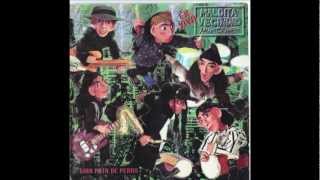 La Maldita Vecindad "Mojado" En Vivo Gira Pata de Perro 1994"