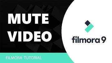 Mute Video Clip in Filmora Tutorial