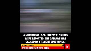 Powerful Storm Knocks Down Trees on Long Island