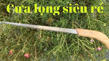 Cưa lọng cực kì sắc bén,, giá quá rẻ các bác làm cây cảnh bonsai không thể thiếu