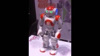 Robot at PyCon