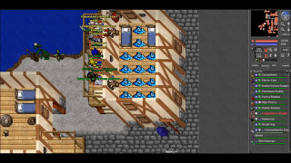 Tibia megatibia.com Mc