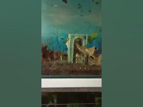 землятресение в Алматы 6.2 балла - YouTube