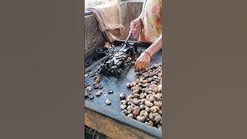Cashew nut processing
