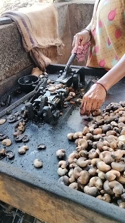 Cashew nut processing