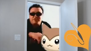 Furret Walks To Smash Mouth Dont Stop Coming