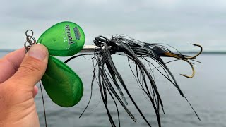 Clear Water Slob July Muskie! - Crazy Action Day!