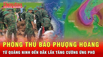 Triển khai khẩn cấp các biện pháp phòng chống bão số 14 ở khu vực ven biển | Tin tức 24h