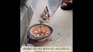 간편 휴대 접이식 식기(반려동물용)