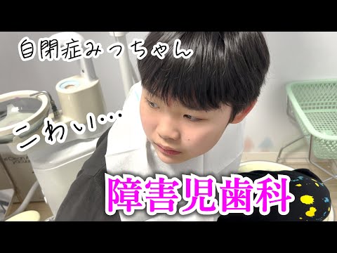 自閉症みっちゃん２か月ぶりの障害児歯科へ言葉で「こわい」と言えた！