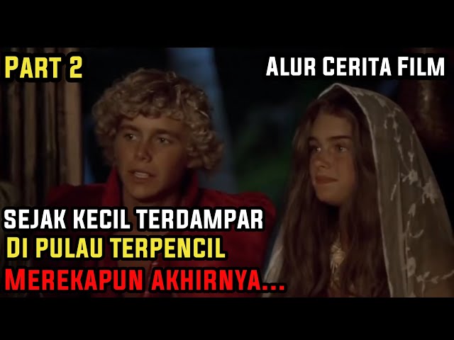 Puluhan Tahun Terdampar Di Pulau Terpencil || Alur Cerita Film THE BLUE LAGOON (PART 2) class=