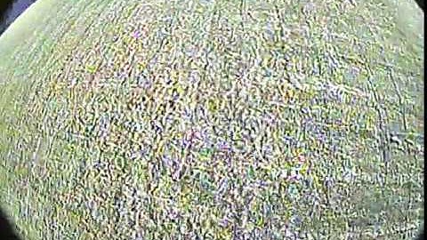 Crashing a ZOHD Talon GT