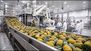 Inside The High-Tech Pineapple Factory Process: Mass Food Production