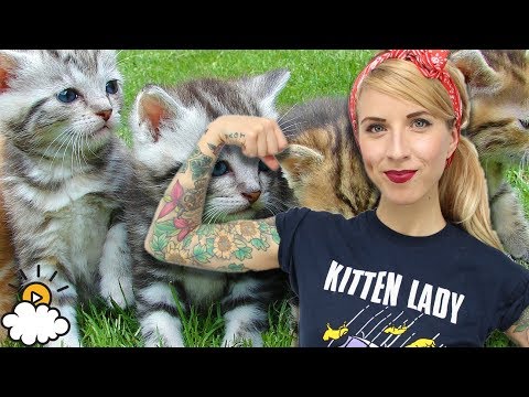 Meet Hannah Shaw, The Kitten Lady!