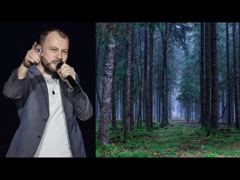 ✨ Волшебная песня Ярослава Сумишевского (Премьера клипа 2022)