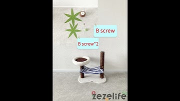 Coconut Cat Tree with Hammock - Assembly Video