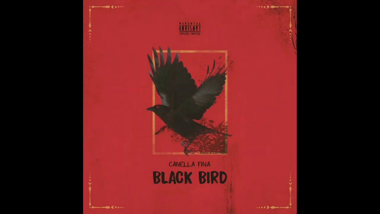 在 YouTube 上觀看「Canella Fina| EP BLACK BIRD 🦅 (Full)」