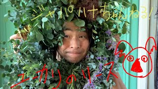 ジャパハナちゃんねる　ユーカリリース