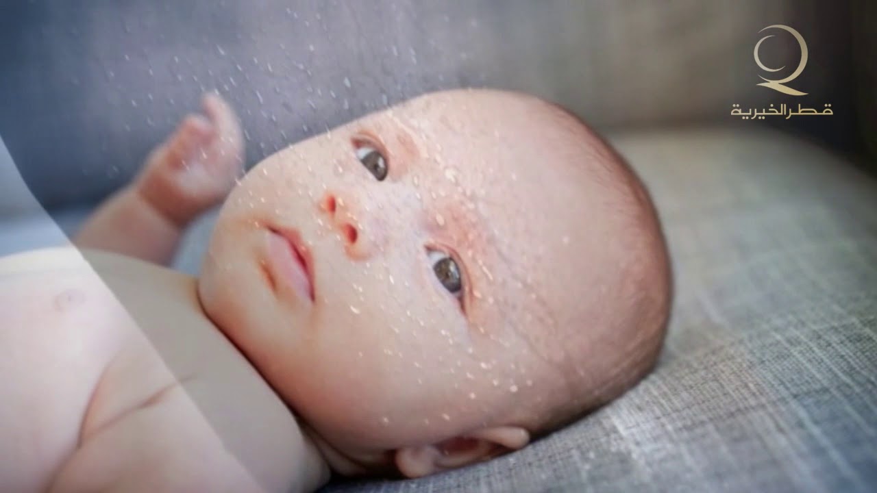 الإعجاز العلمي في خَلق الإنسان | د. زغلول النجار