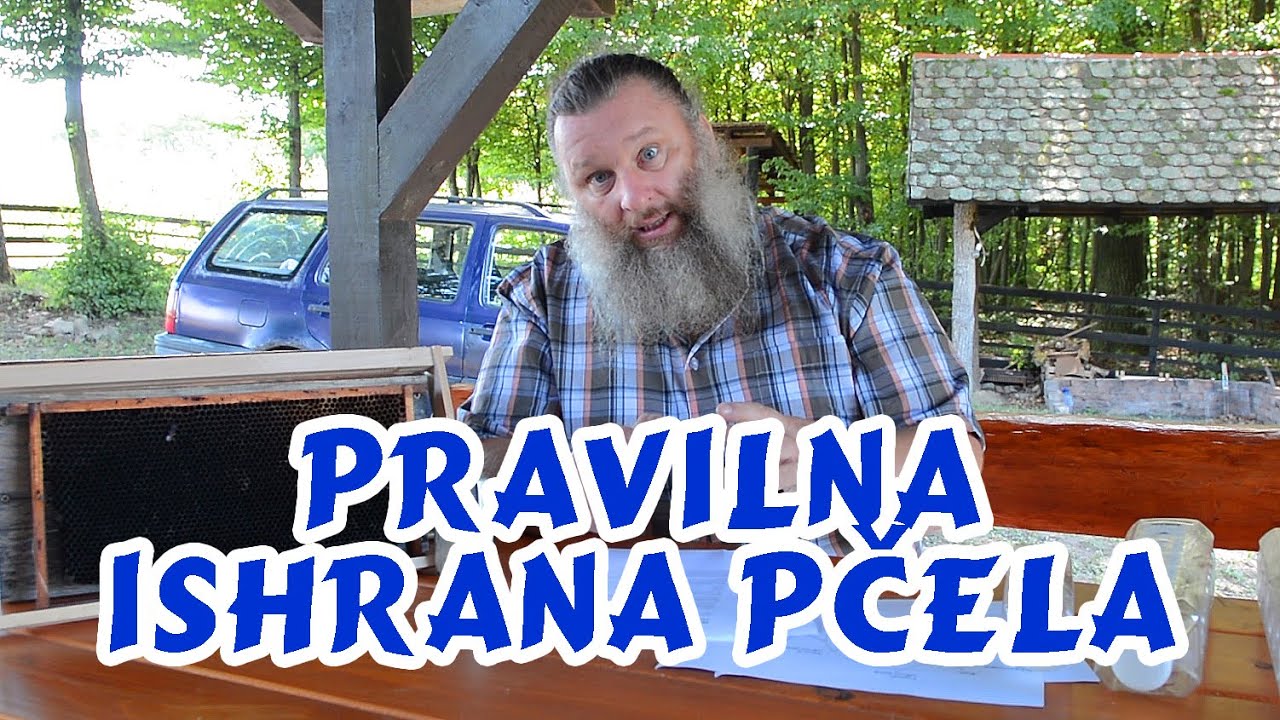 PRAVILNA ISHRANA PCELA