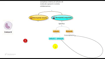 Che cosa significa che il nostro organismo ha raggiunto la condizione di immunità?