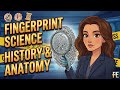 Anatomy & History Of Fingerprints | Forensic Educator |